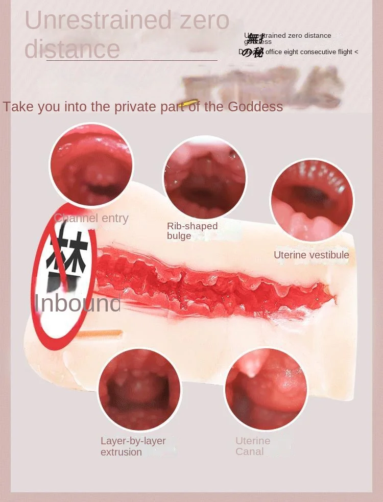 Japan AV 1:1 Copy Sex Toys for Men Artificial Vagina Male Masturbator Adults Pocket Pussy Sex Doll 18 Japan AV 1:1 Copy Sex Toys for Men Artificial Vagina Male Masturbator Adults Pocket Pussy Sex Doll 18