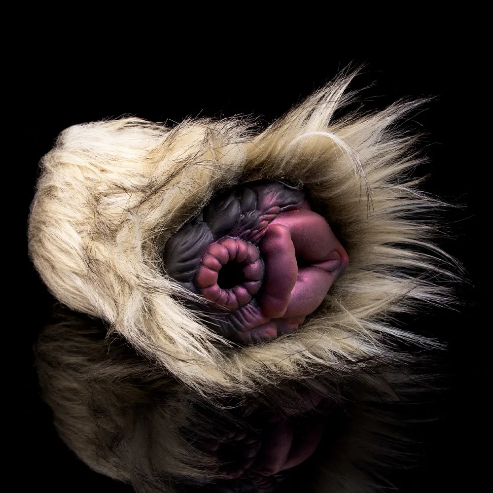 African Wild Dog Double Passage Masturbation Airplane Cup Male Manual Retractable Alternative Animal Masturbation Sex Toy African Wild Dog Double Passage Masturbation Airplane Cup Male Manual Retractable Alternative Animal Masturbation Sex Toy