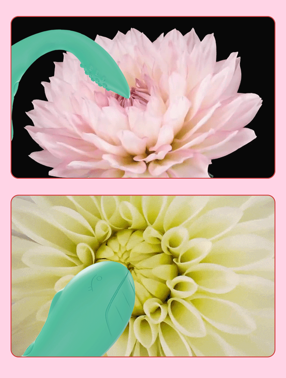 Bluetooth APP Vibrator for Women Panties with 2 Motors G Spot Dildo Massager Wearable Vibrating Love Egg Sex Toys for Adults