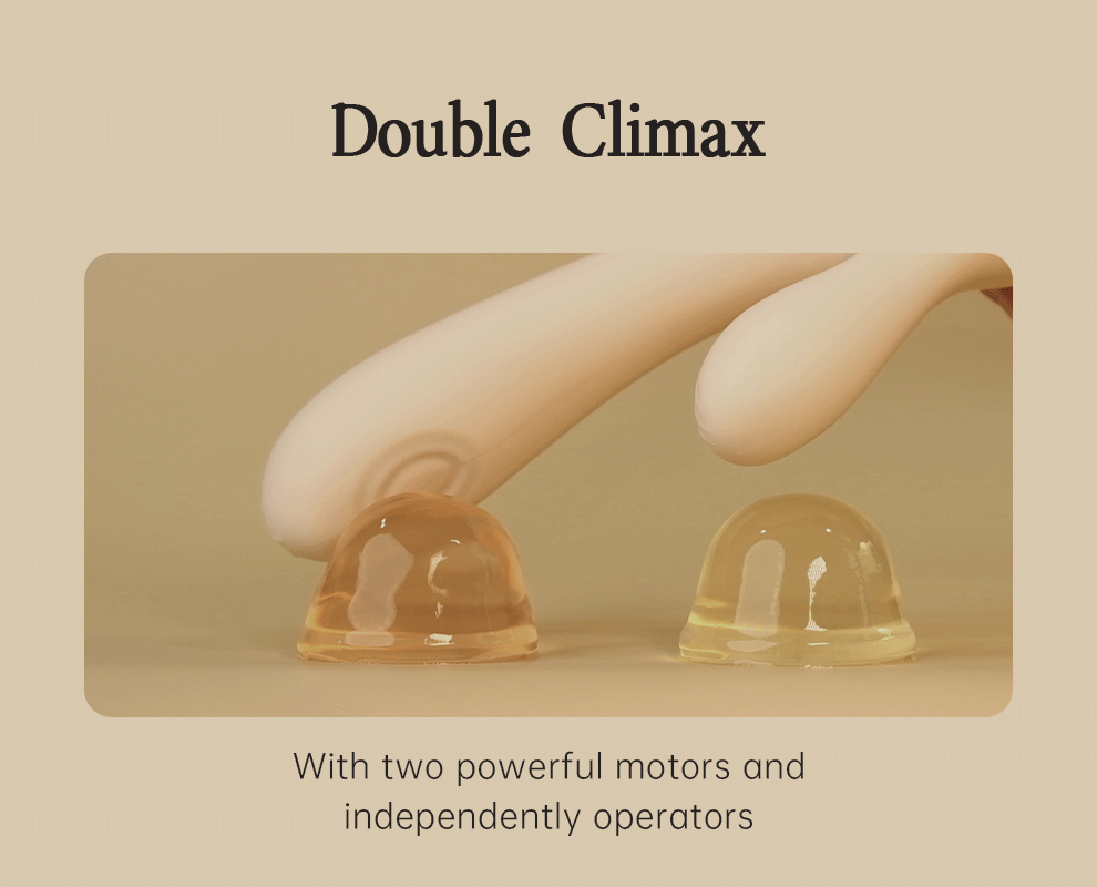 DRY WELL Rabbit Vibrator with Unique Patting Function Clitoris Stimulator Dildo with 10 Powerful Modes Dual Motor Stimulator