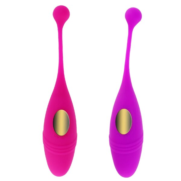 Panties Wireless Remote Control Vibrators Pantie Vibrating Egg Wearable Dildo Vibrator G Spot Clitoris Adult Sex Toys for Women