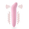 Safe Dolphin Vibrator Egg Secret Bullet Vibrator Clitoris Stimulator G-spot Masturbator Quiet adult Product Sex Toys For Women