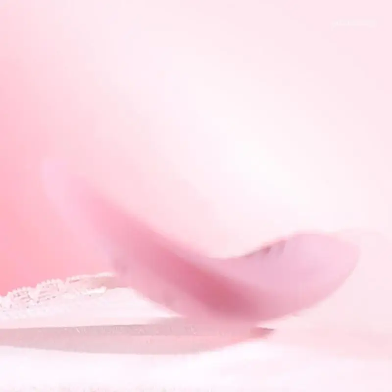 Wearable Panty Vibrator with Wireless Remote Control Panties Vibrating Waterproof Invisible Clitoral Stimulator Sex Toys for new