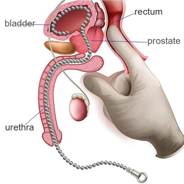 30/50cm Super Long Stainless Steel Urethral Sounds Dilators Smooth Beads sex Toys ejaculation dick toy penis plug catheter Sound