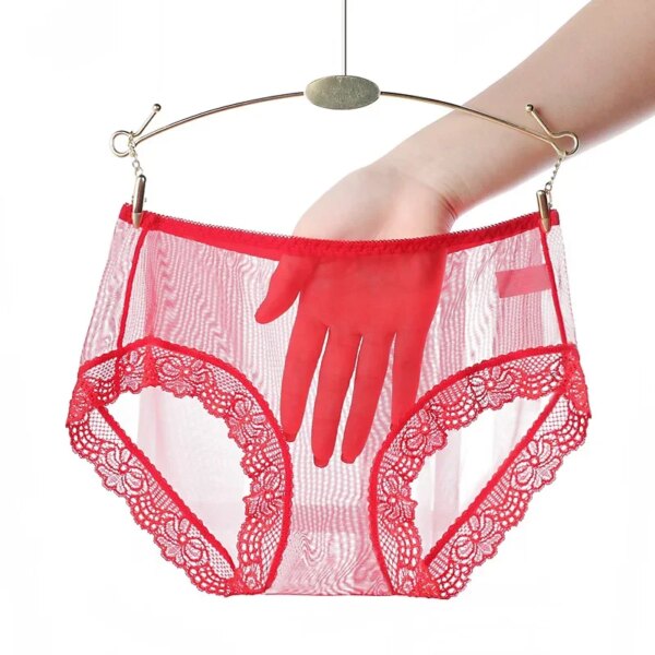 Ropa Interior Femenina  Underwear Women Panties Plus Size 4XL Soft Lace Mesh Fully Transparent and Thin Sexy Panties Lingerie