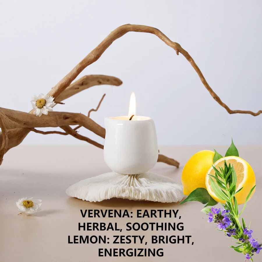Fruity Scent low heat Massage Oil Candle Ultra Hydrating Body Care with Coconut wax Oil 1.69 oz home decor Valentines Fruity Scent low heat Massage Oil Candle Ultra Hydrating Body Care with Coconut wax Oil 1.69 oz home decor Valentines