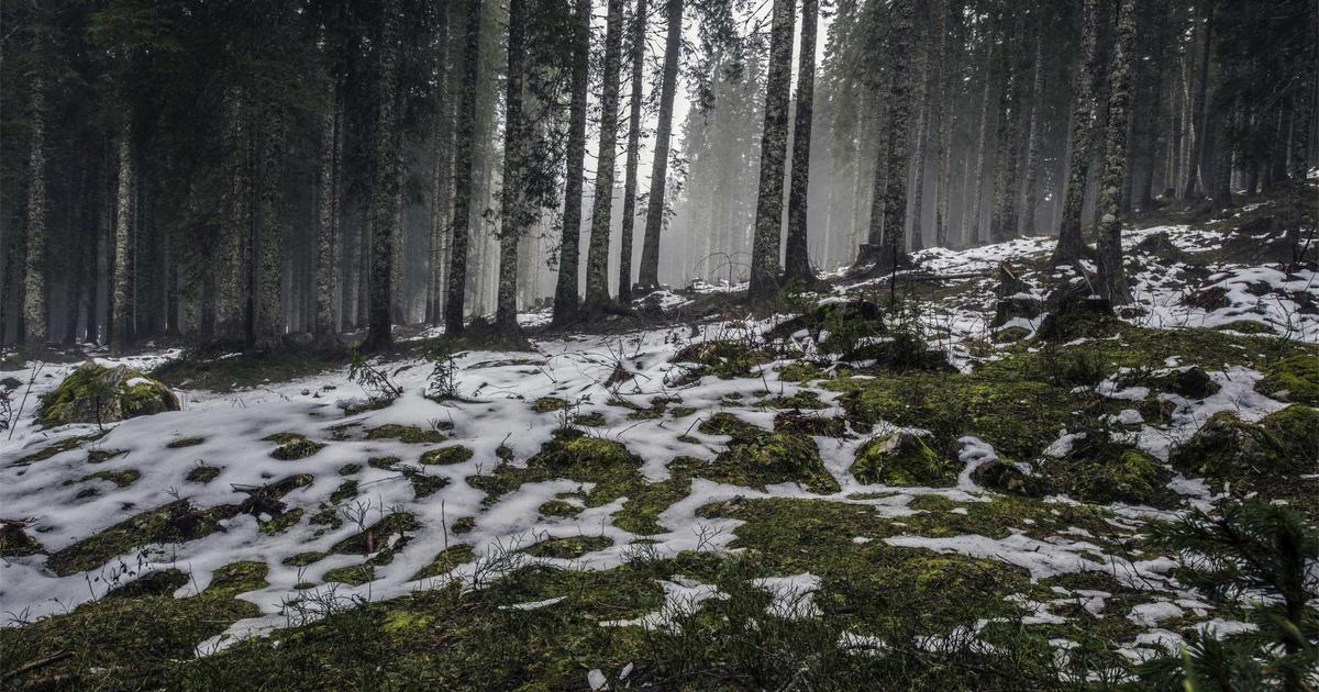 Bien-être Adulte: Approche Holistique